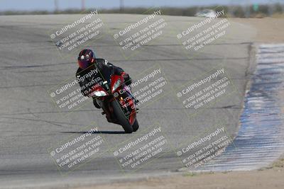 media/Oct-29-2023-Carters at The Track (Sun) [[b2bb4383ab]]/B Plus/120pm (Outside Grapevine)/